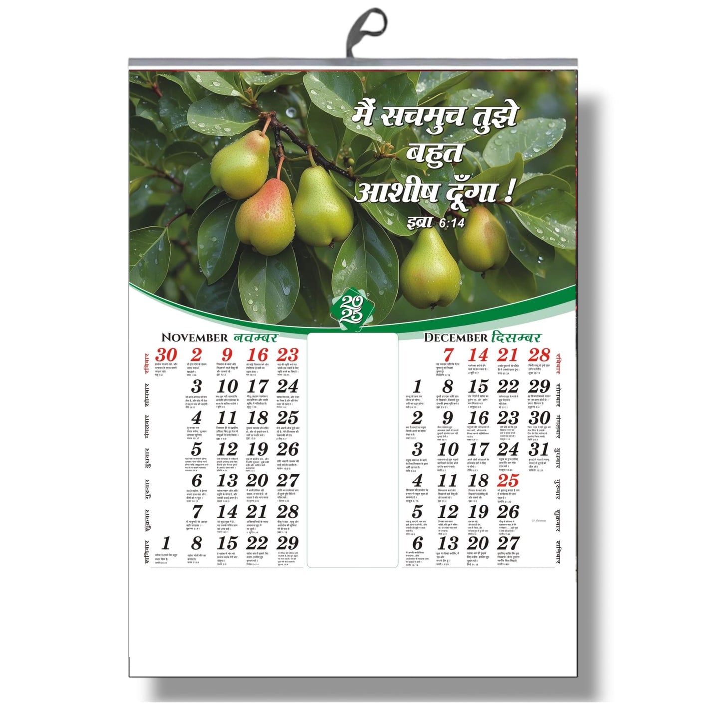 2025 Hindi Bible Verse Flower Children’s and Secondary Wall Calendar