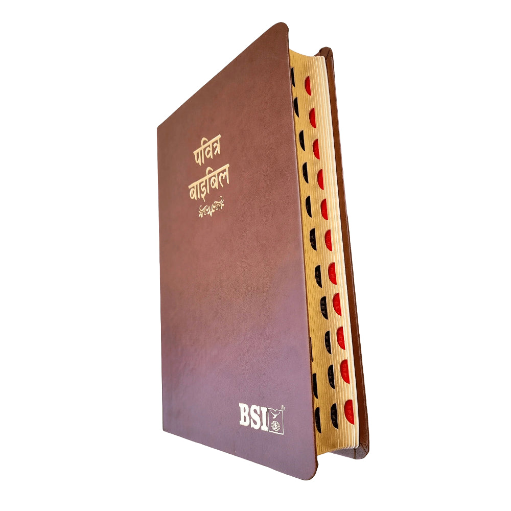 BSI Hindi Bible | In Multiple Color | With Thumb Index | Golden Edge | Amity Edition | New Edition