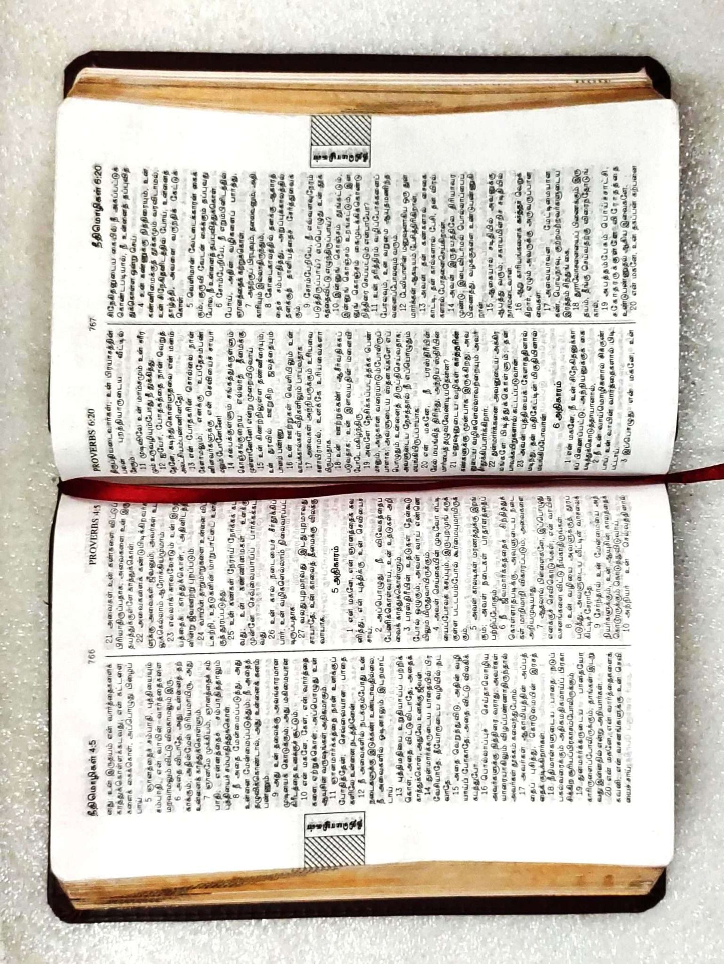 Tamil Bible Red Letter Edition with Study Helps - Semi Royal Size, Premium Black Leather Bound Edition