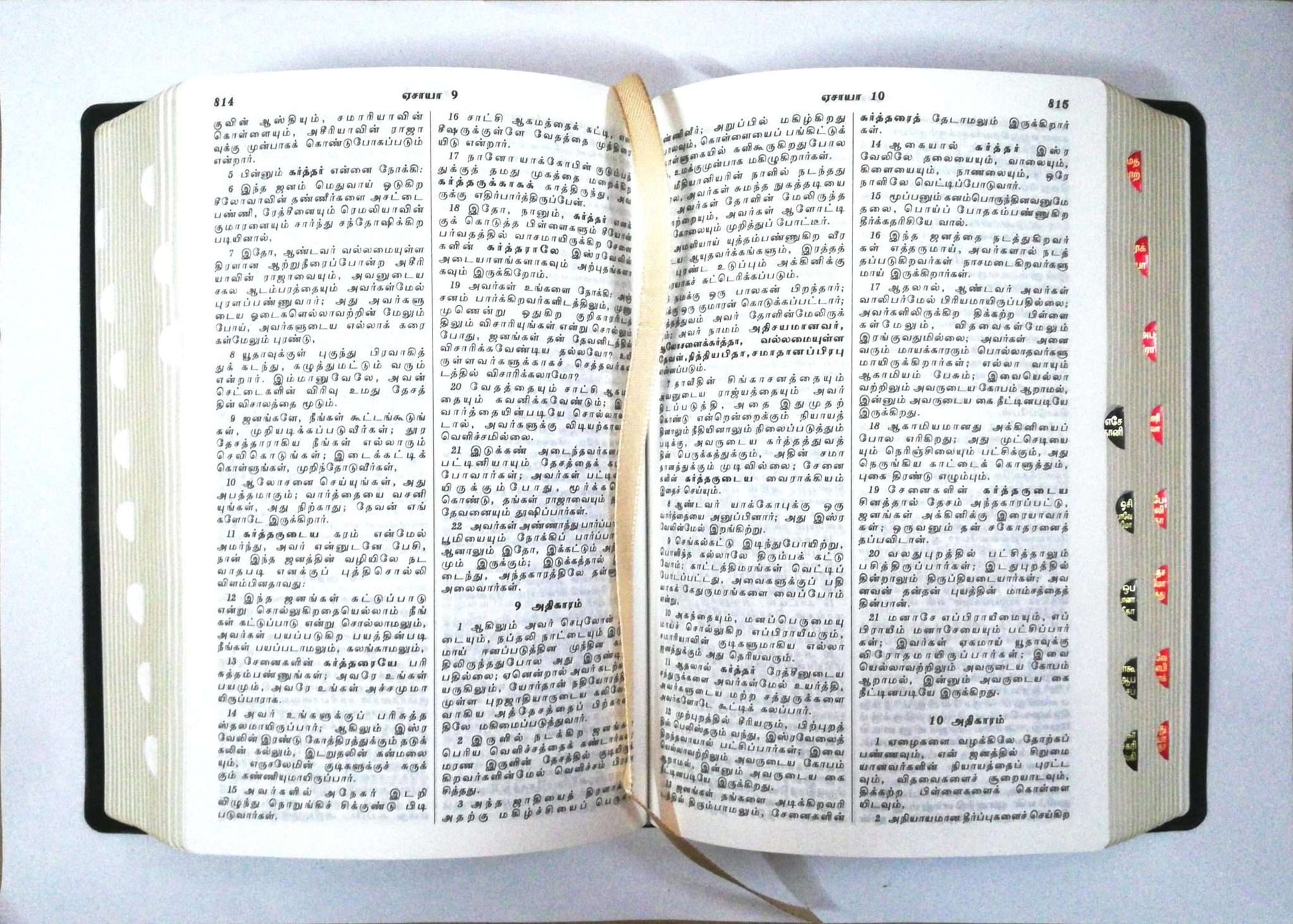 Tamil Bible Semi-Compact Edition, Brown Open-Type Cover with Thumb Index (ISBN: 9788119095742)