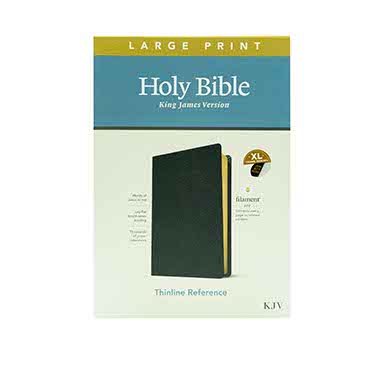 KJV Large Print Thinline Reference Bible: Filament Enabled