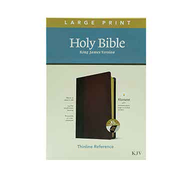 KJV Large Print Thinline Reference Bible with Filament Enabled Technology for Easy Reading