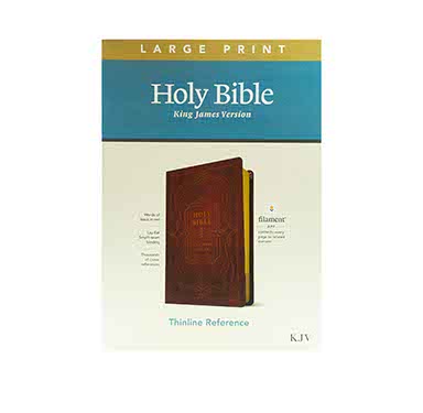 KJV Large Print Thinline Reference Bible: Filament Enabled