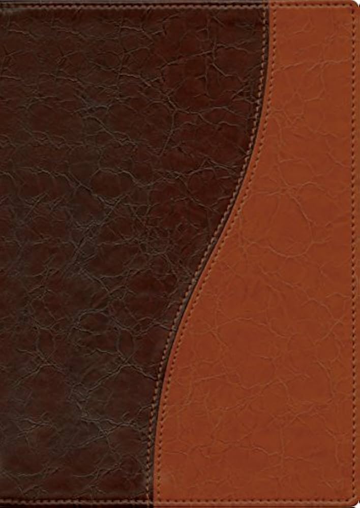 Life Application Study Bible NLT – TuTone Hardcover Edition