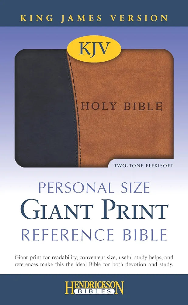 KJV Personal Size Giant Print Reference Bible Imitation Leather Teal Gray