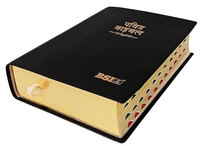 Hindi Bible - Compact Index Vinyl TI Gilt Yapp OV (2024) with Old and New Testament