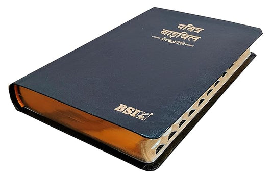 Hindi Bible OV (KBS) 55TI (R) BL Index Yapp - Korea Printed, Old and New Testament