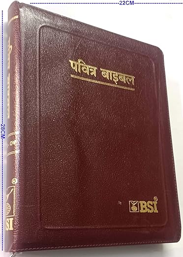 Hindi Pulpit Bible - Large Print, BSI Edition