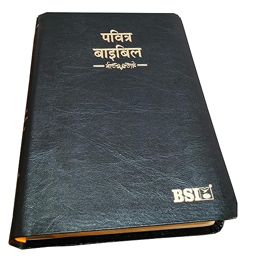 Hindi Bible OV (KBS) 55TI (R) BL Index Yapp - Korea Printed, Old and New Testament