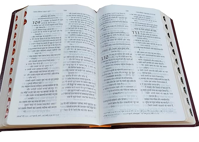 Hindi Bible OV 55ZTI (R) BL ZIP (KBS) - Brown, Korean Print, Golden Edge, BSI Edition