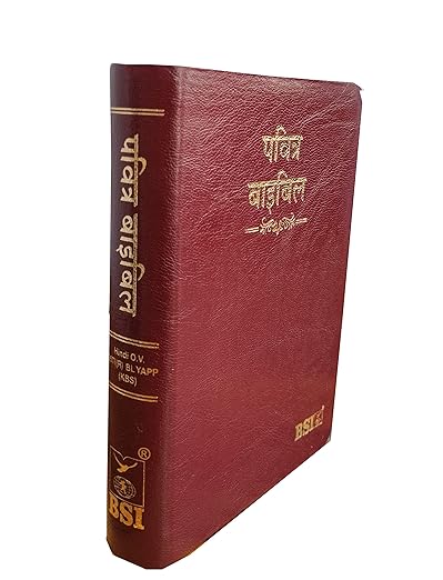 Hindi OV 25TI(R) Compact Bible Yapp (KBS) - Brown, Korean Print, BSI Edition