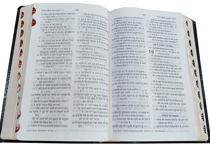 Hindi Bible OV (KBS) 55TI (R) BL Index Yapp - Korea Printed, Old and New Testament