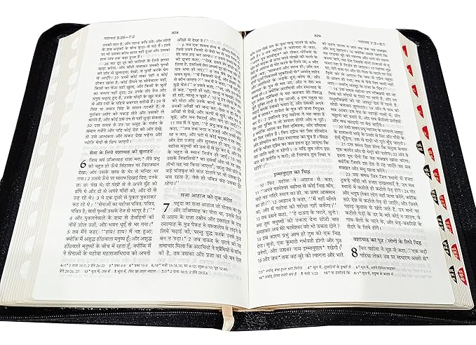 Holy Bible Hindi - Missionary Regular Edition with Index, Zip Closure, Vinyl Cover (OV 2024)