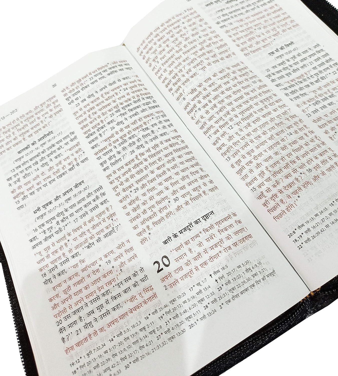 Holy Bible Hindi (Red Letter Edition) - Zip, Golden Edge, Old and New Testament