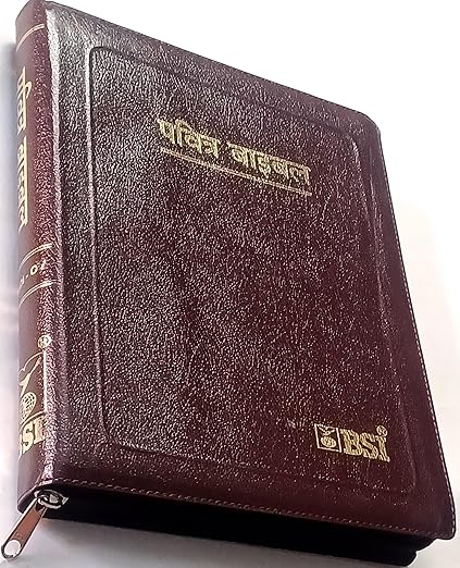 Hindi Pulpit Bible - Large Print, BSI Edition