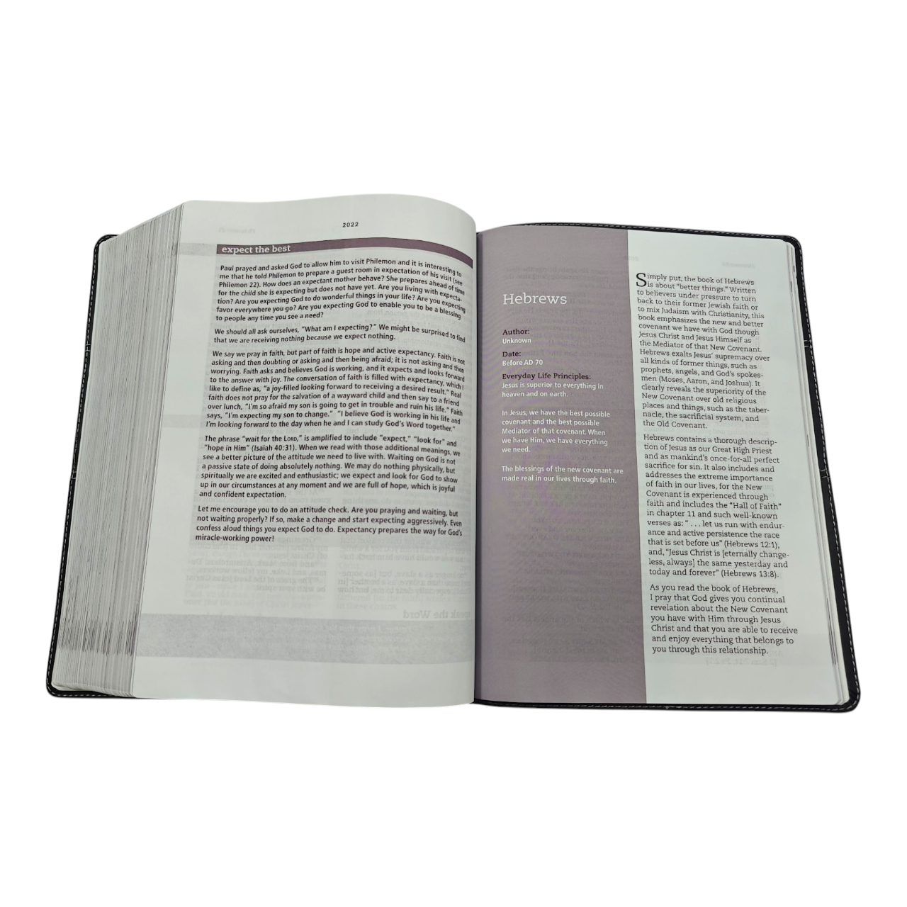The Everyday Life Bible: The Power of God's Word for Everyday Living, AMP, Hardcover | Notes and Commentary by Joyce Meyer (ISBN 9781546041702