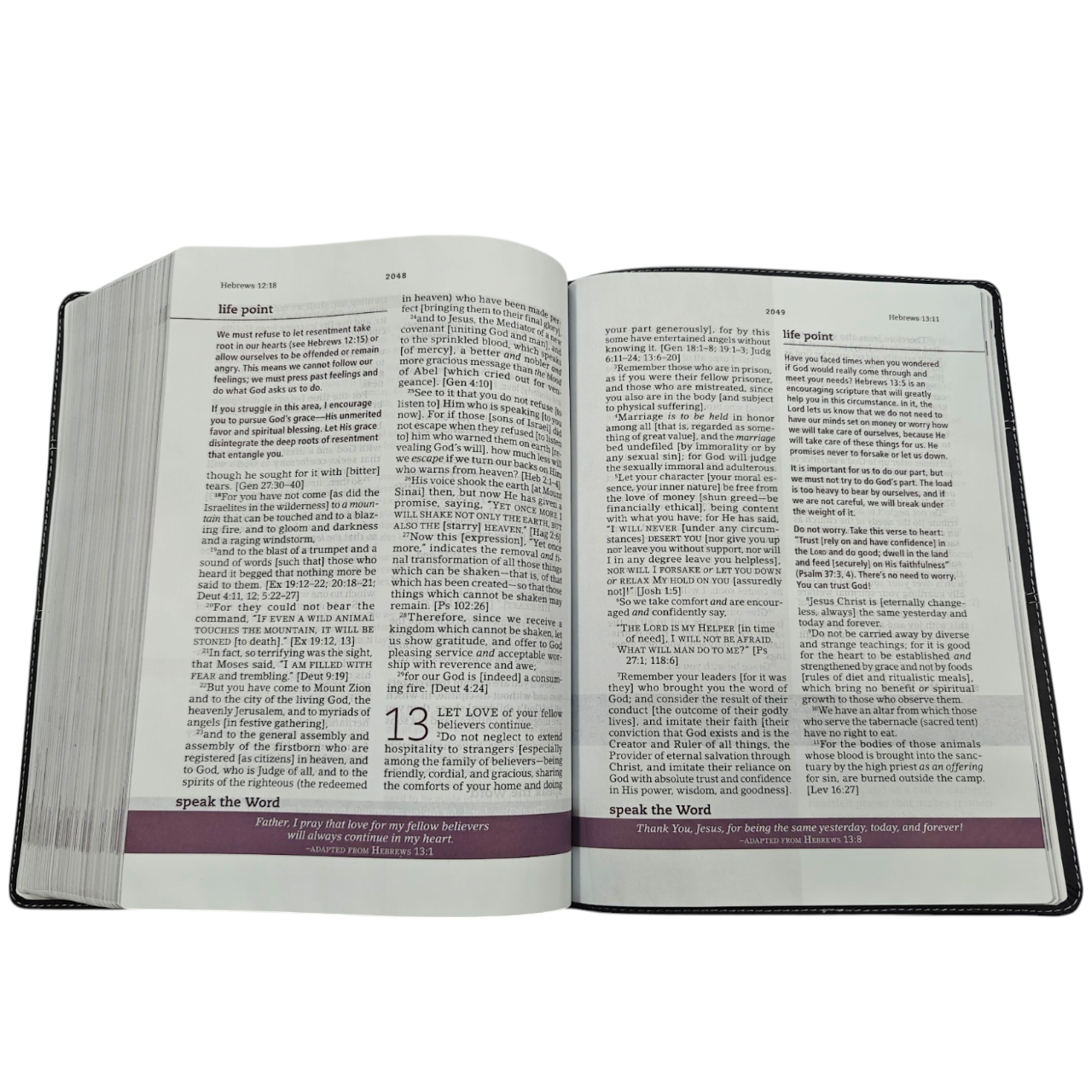 The Everyday Life Bible: The Power of God's Word for Everyday Living, AMP, Hardcover | Notes and Commentary by Joyce Meyer (ISBN 9781546041702
