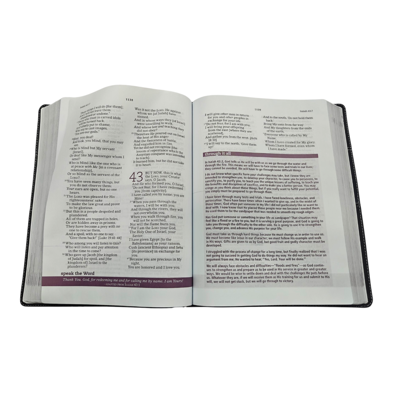 The Everyday Life Bible: The Power of God's Word for Everyday Living, AMP, Hardcover | Notes and Commentary by Joyce Meyer (ISBN 9781546041702