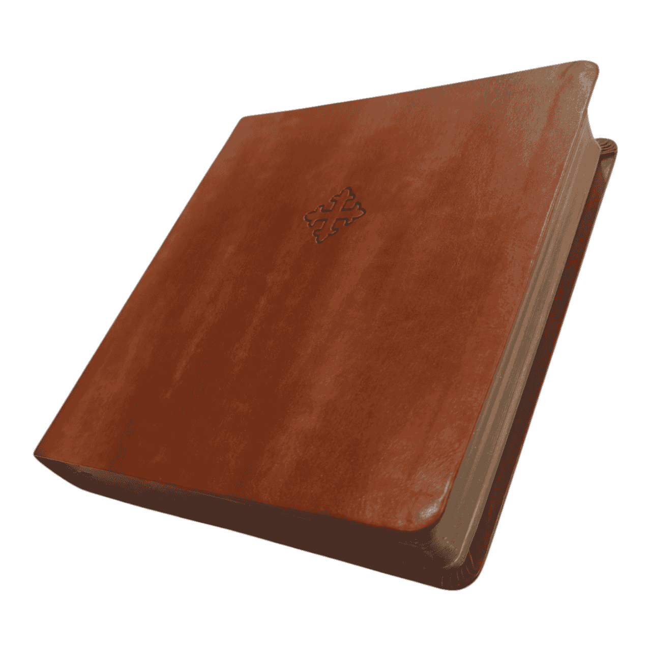 Amplified Holy Bible XL Edition – Extra-Large Print for Easy Reading (ISBN: 9780310109426)