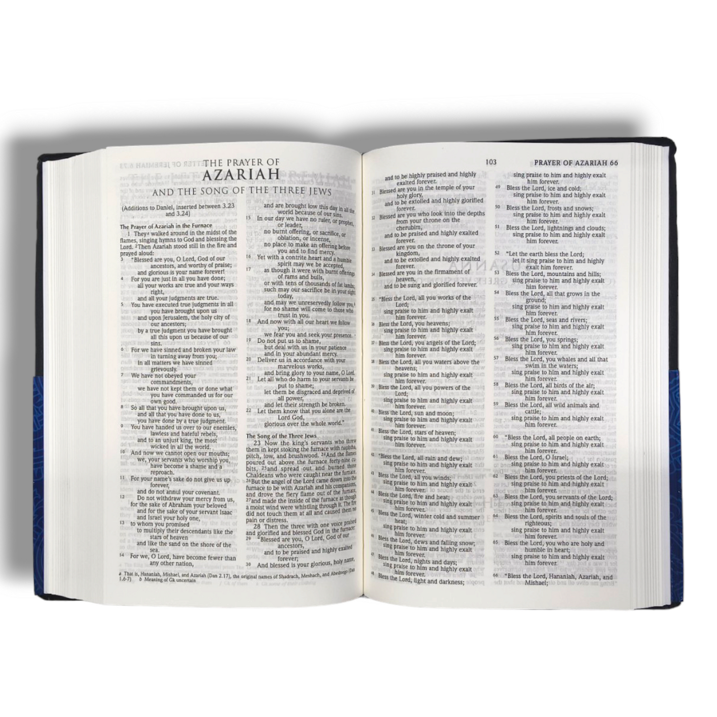 Gift & Award Bible| New Revised Standard Version | New Edition | Hard Bound Cover