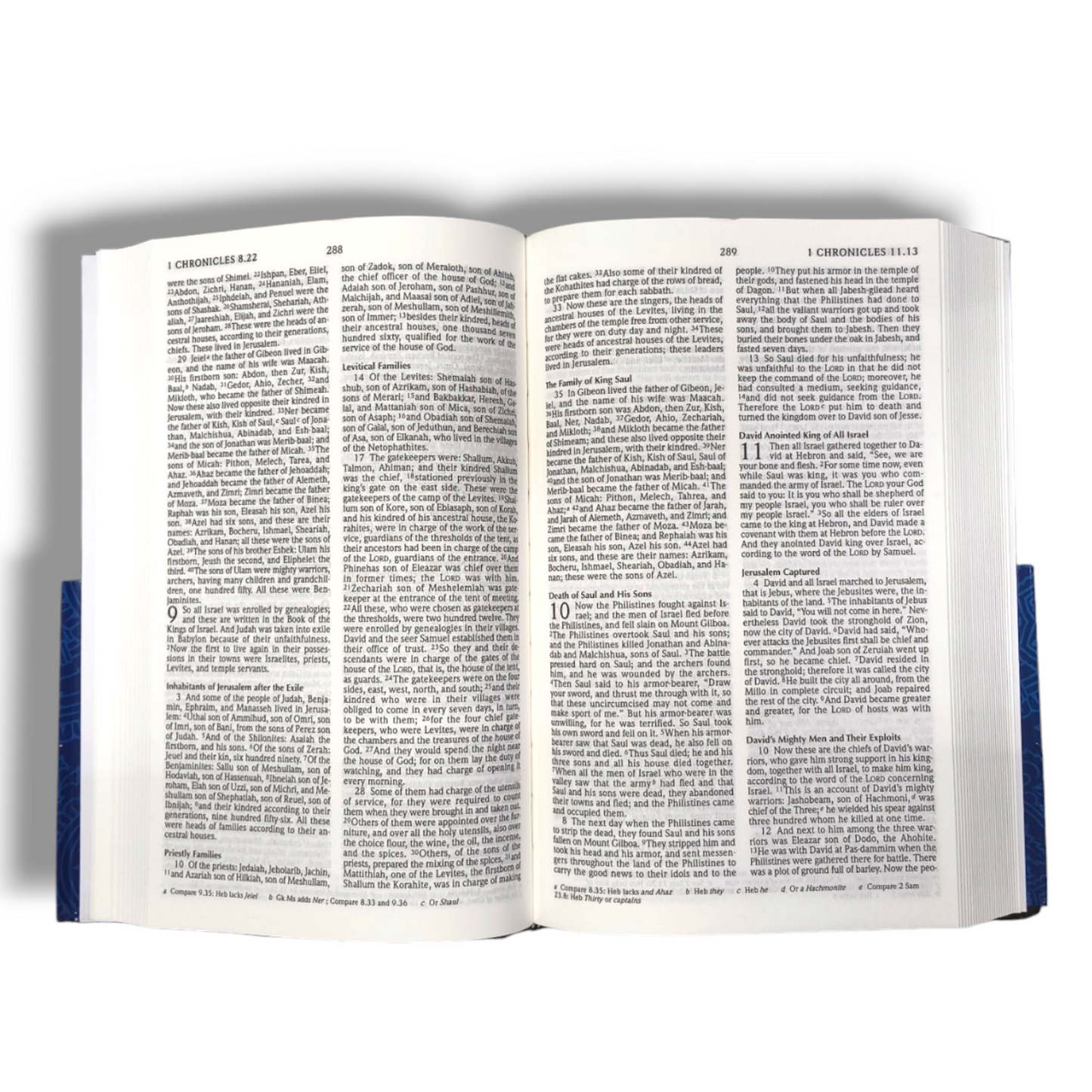 Gift & Award Bible| New Revised Standard Version | New Edition | Hard Bound Cover