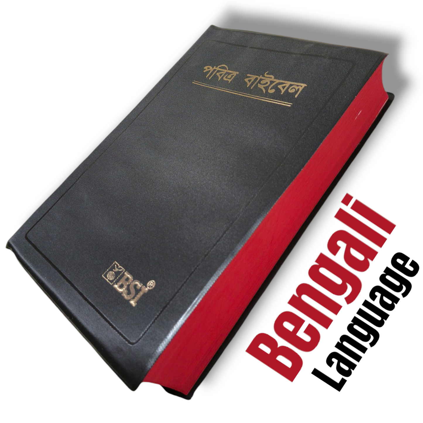 Bengali Bible | The Holy Bible | Normal Size | Medium Size Bible | Red Edge Bible | New Edition