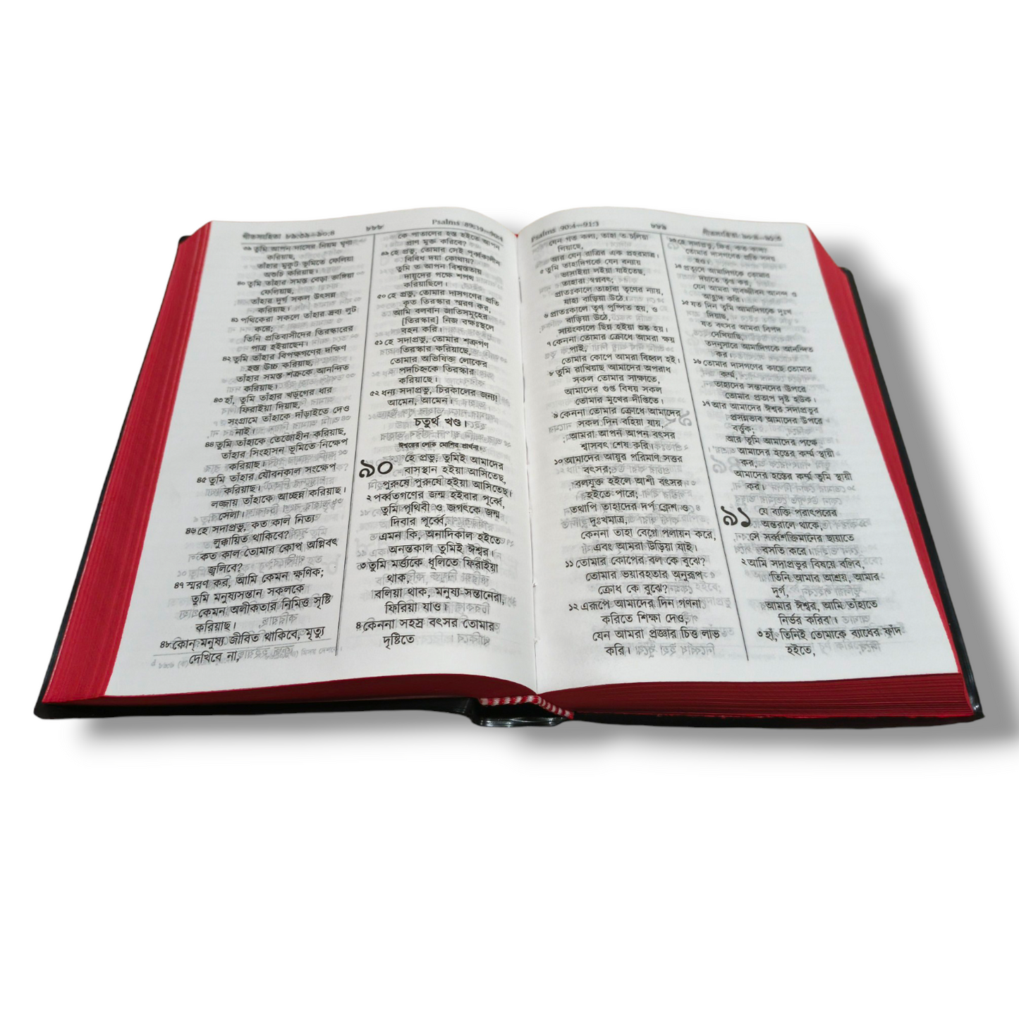 Bengali Bible | The Holy Bible | Normal Size | Medium Size Bible | Red Edge Bible | New Edition