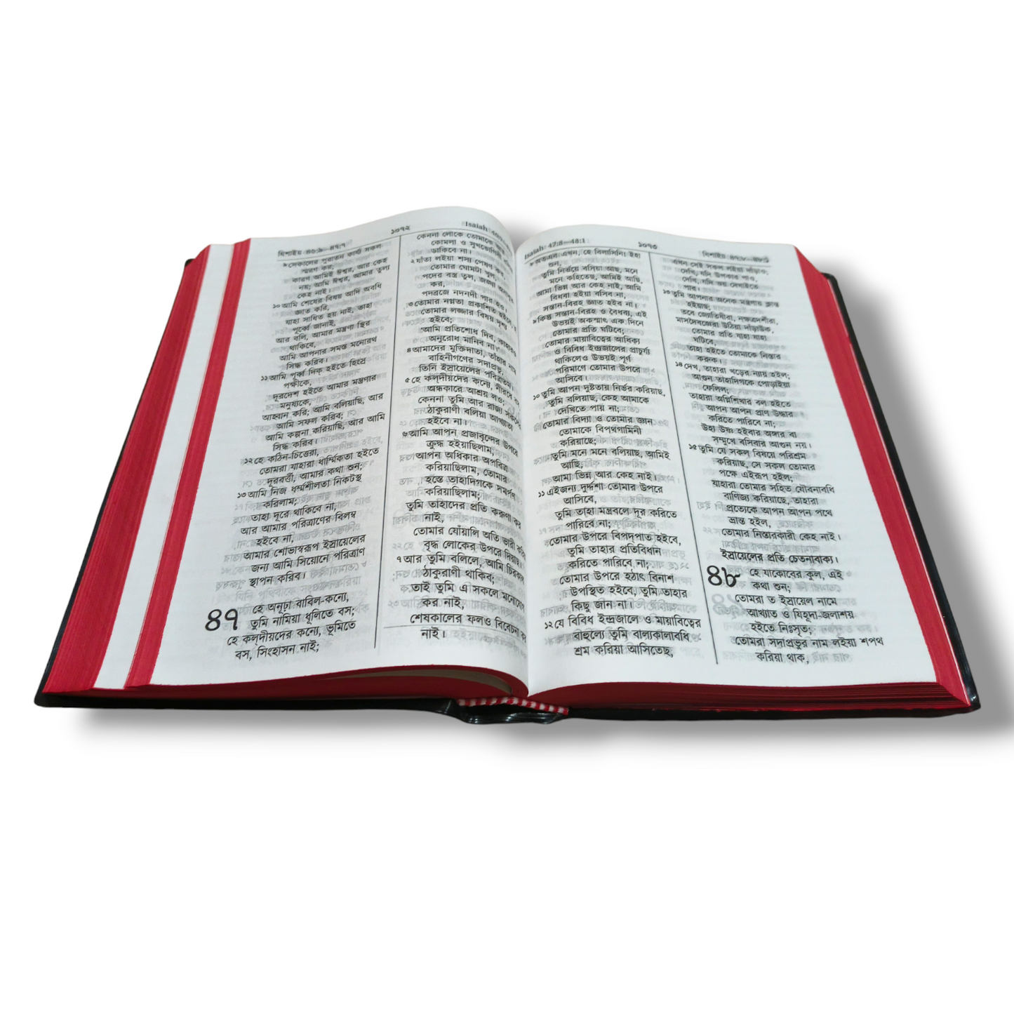 Bengali Bible | The Holy Bible | Normal Size | Medium Size Bible | Red Edge Bible | New Edition