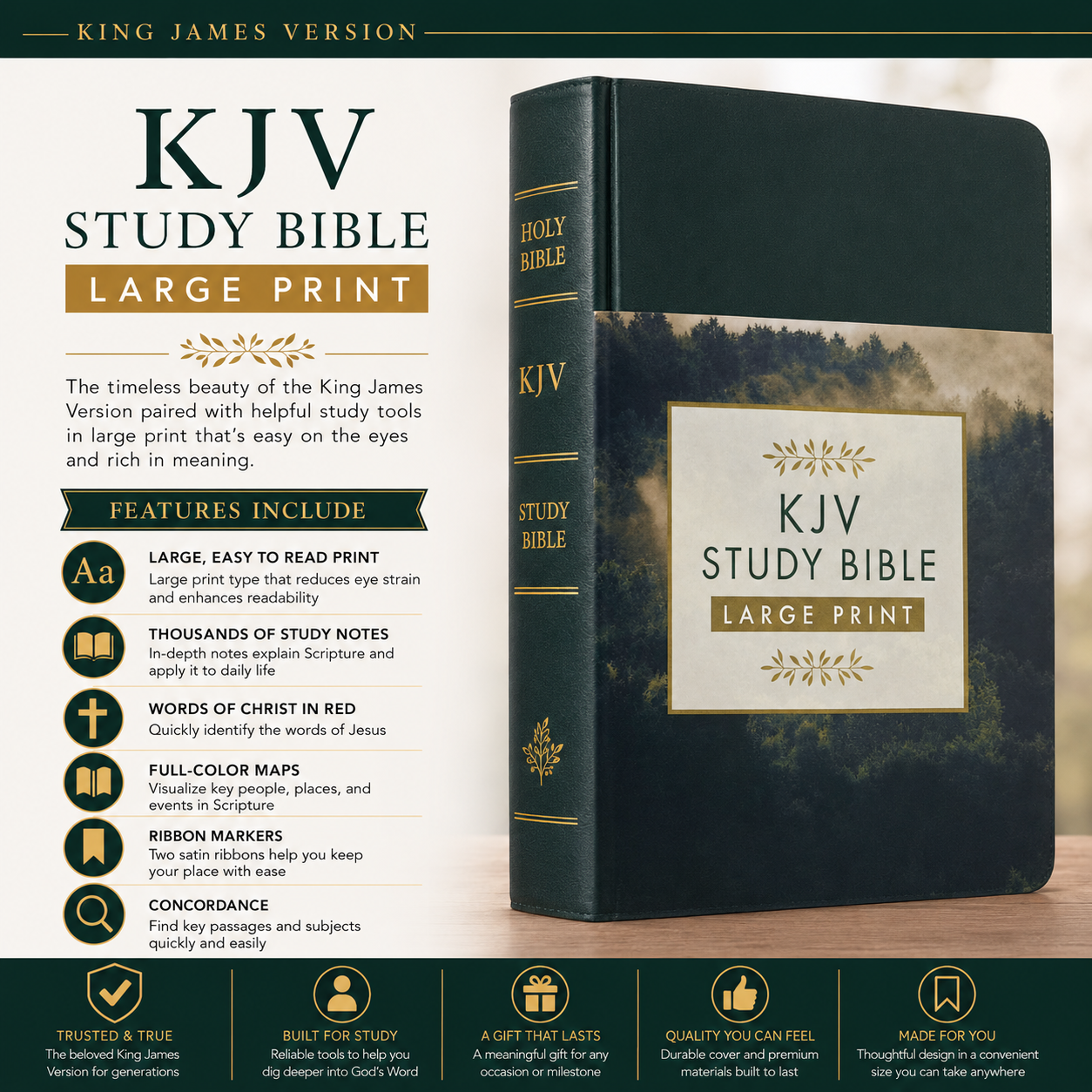 KJV Study Bible Large Print King James Version