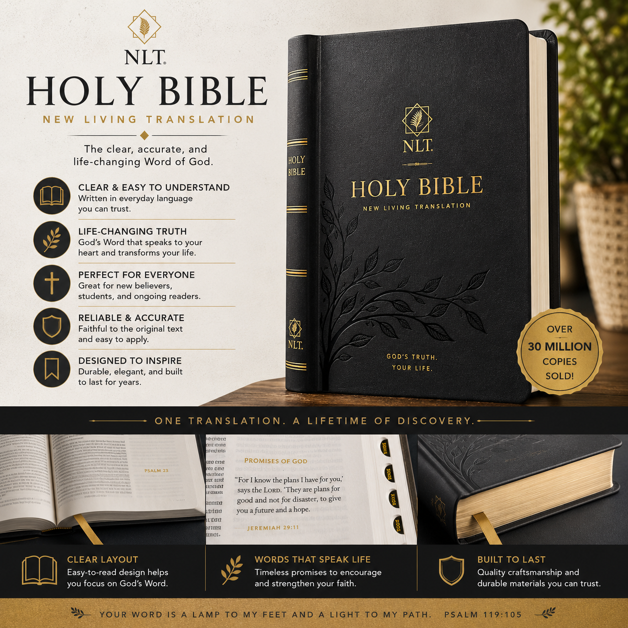 NLT Holy Bible, New Living Translation, Clear, Accurate & Easy-to-Read Bible for Daily Reading & Study (Complete Old & New Testament)