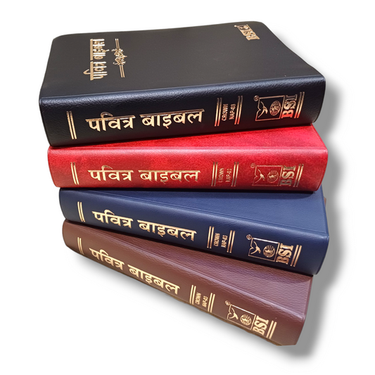 The Holy Bible In Hindi |Hindi Compact Size Bible |Golden Edge Bible |Crown Bible In All In Color Combo offer