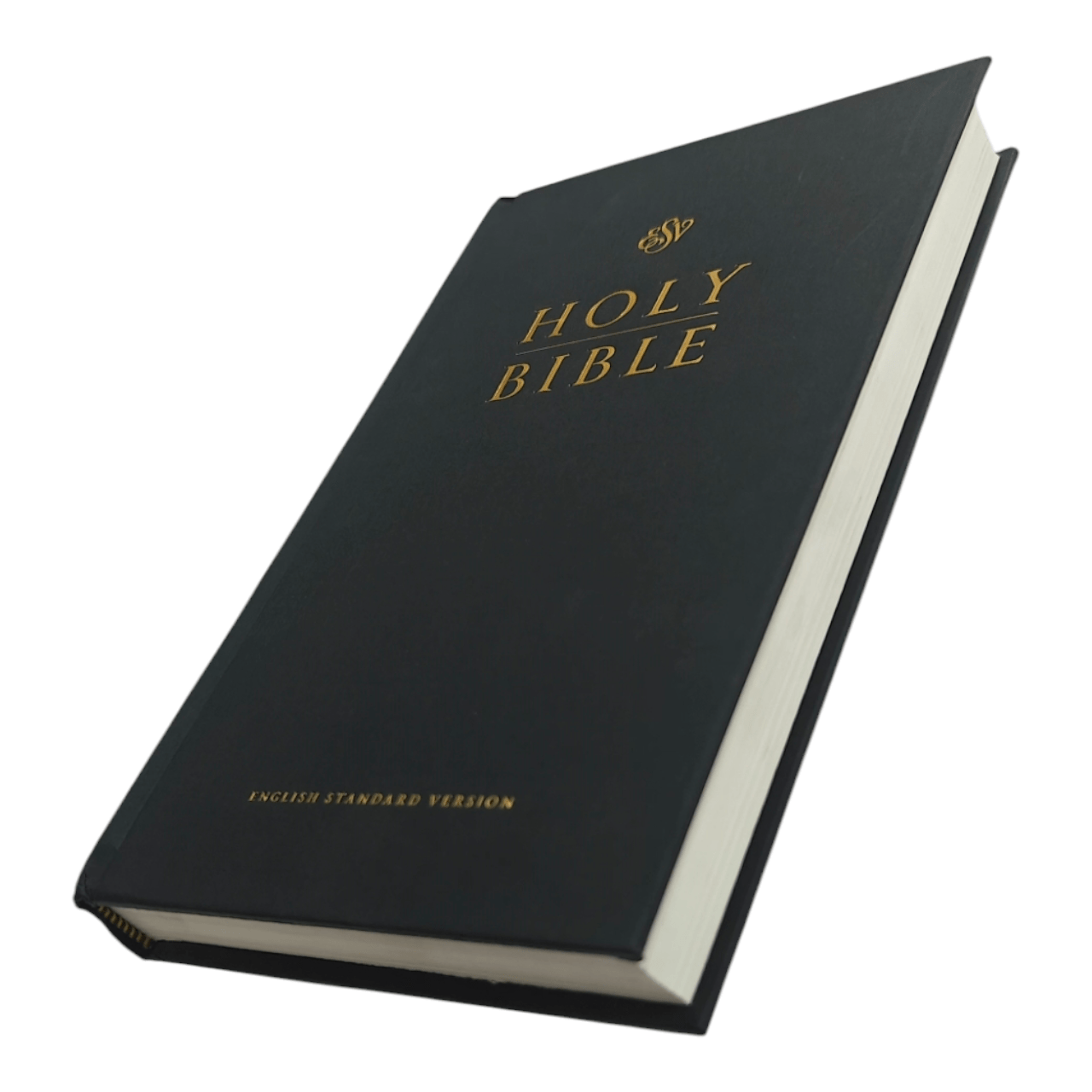 ESV Holy Bible – English Standard Version, Study & Devotional Edition (ISBN: 495531198871)
