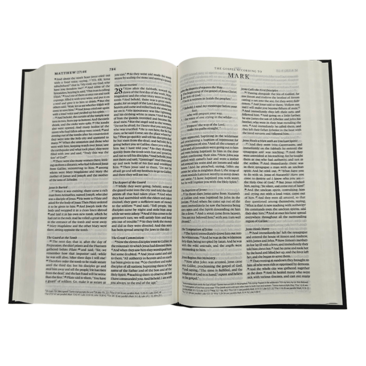 ESV Holy Bible – English Standard Version, Study & Devotional Edition (ISBN: 495531198871)
