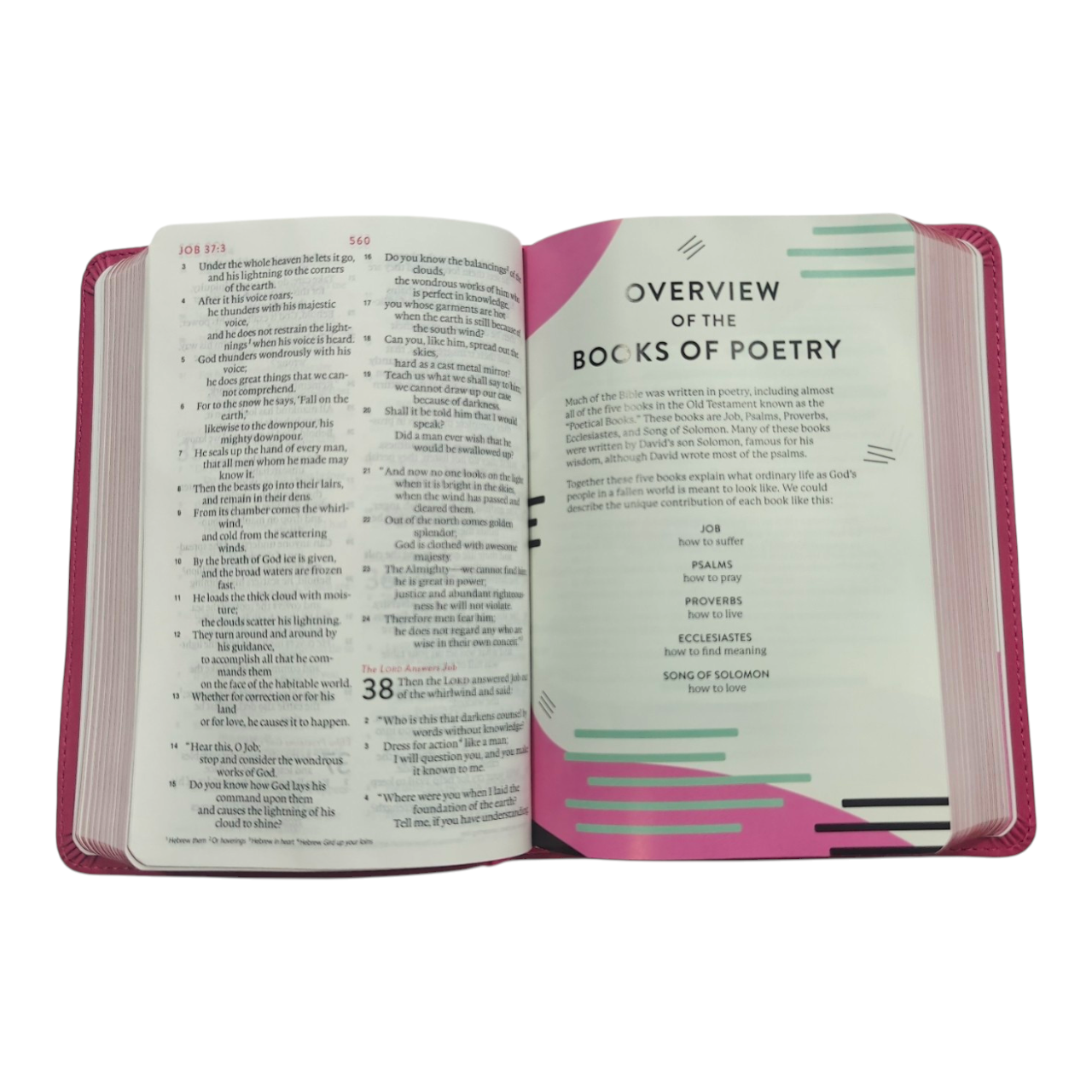 ESV Kid's Bible, Compact, TruTone, Forest Design – A Durable and Portable First Bible for Kids (ISBN 9781433579752)