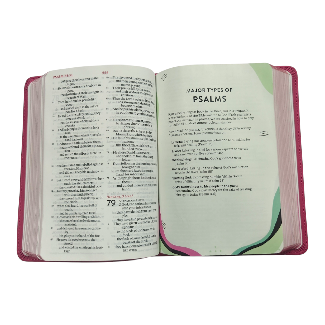 ESV Kid's Bible, Compact, TruTone, Forest Design – A Durable and Portable First Bible for Kids (ISBN 9781433579752)