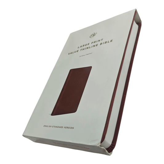 ESV Large Print Value Thinline Bible (English Language) | Easy-to-Read, Portable Edition | Japan Import