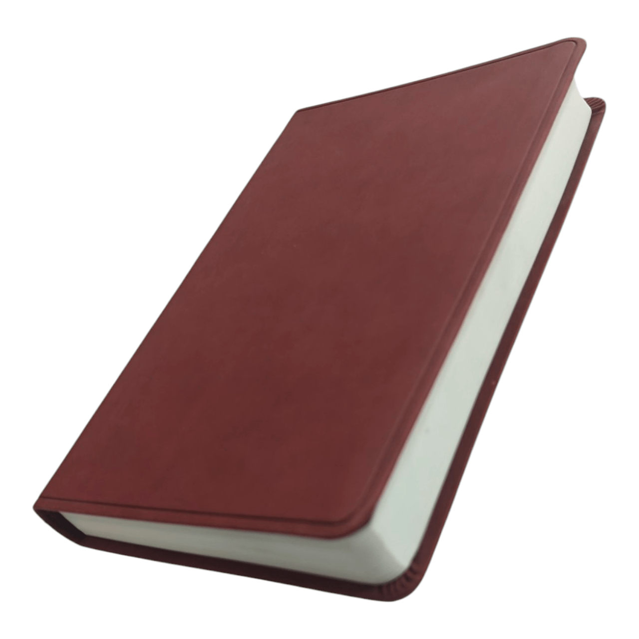 ESV Large Print Value Thinline Bible (English Language) | Easy-to-Read, Portable Edition | Japan Import