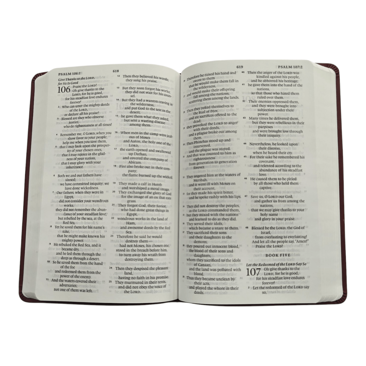 ESV Large Print Value Thinline Bible (English Language) | Easy-to-Read, Portable Edition | Japan Import