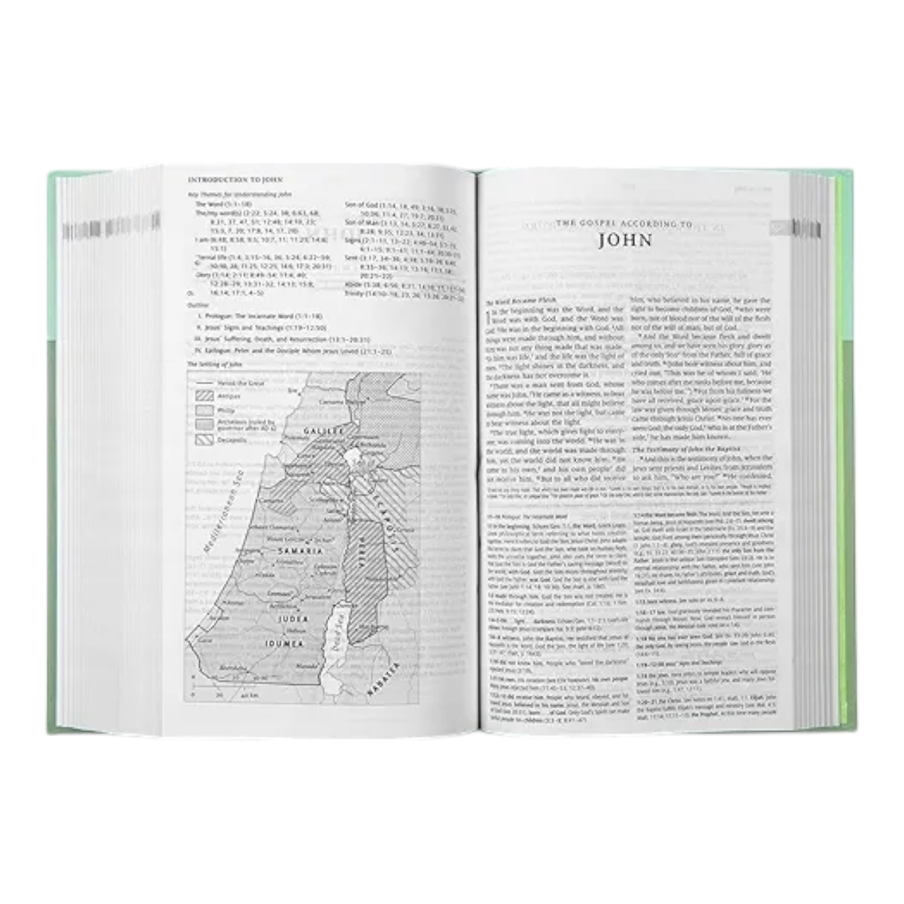 ESV Kid's Bible, Compact, TruTone, Flowers – A Durable and Portable First Bible for Girls (ISBN 9781433588464)