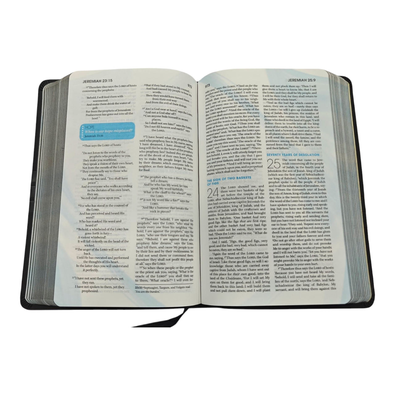 NKJV, The Extreme Teen Study Bible: A Bible for Today's Youth, Tackling Real-Life Issues (ISBN 9781401674748)  —