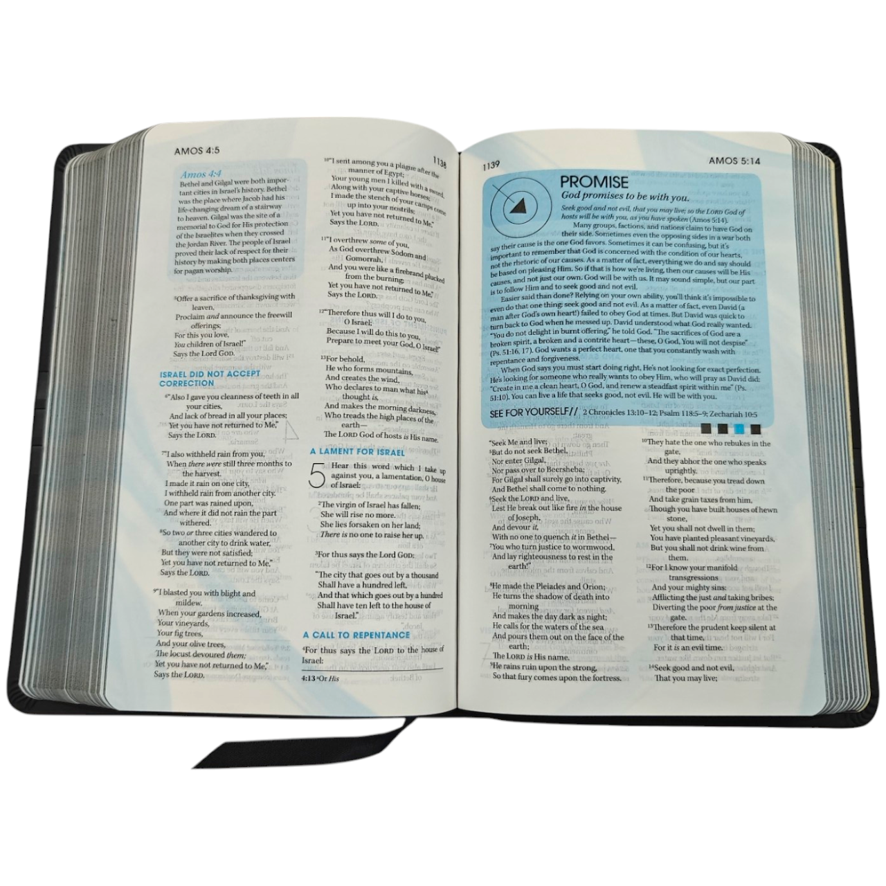 NKJV, The Extreme Teen Study Bible: A Bible for Today's Youth, Tackling Real-Life Issues (ISBN 9781401674748)  —
