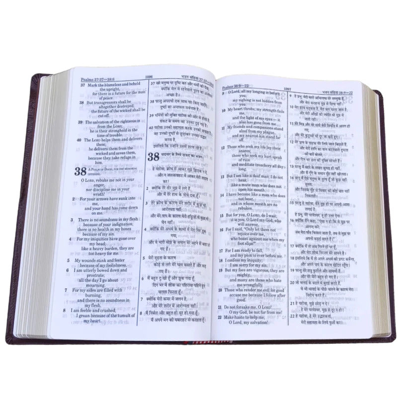 English Hindi Diglot Bible in Leather All In Color