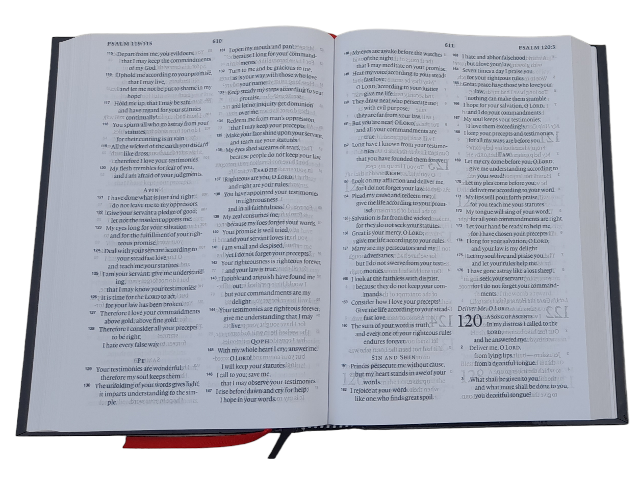 The Holy English Standard Version Bible Large Print Bible