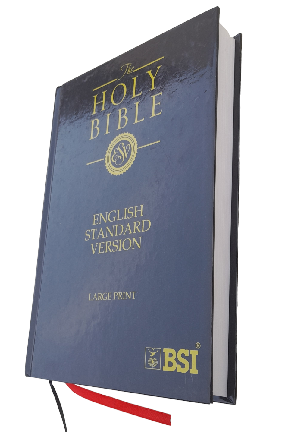 English Large Print Bible 