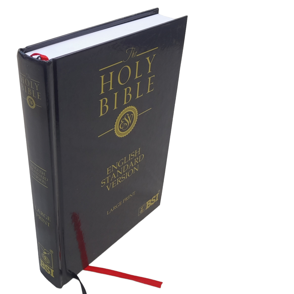 English Standard Version Large Print Bible