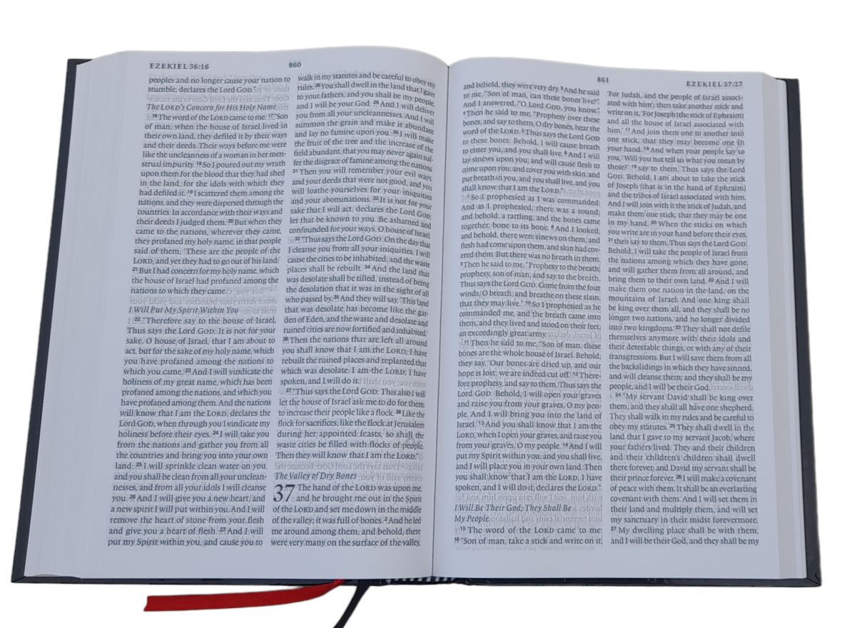 The Holy English Standard Version Bible Large Print Bible