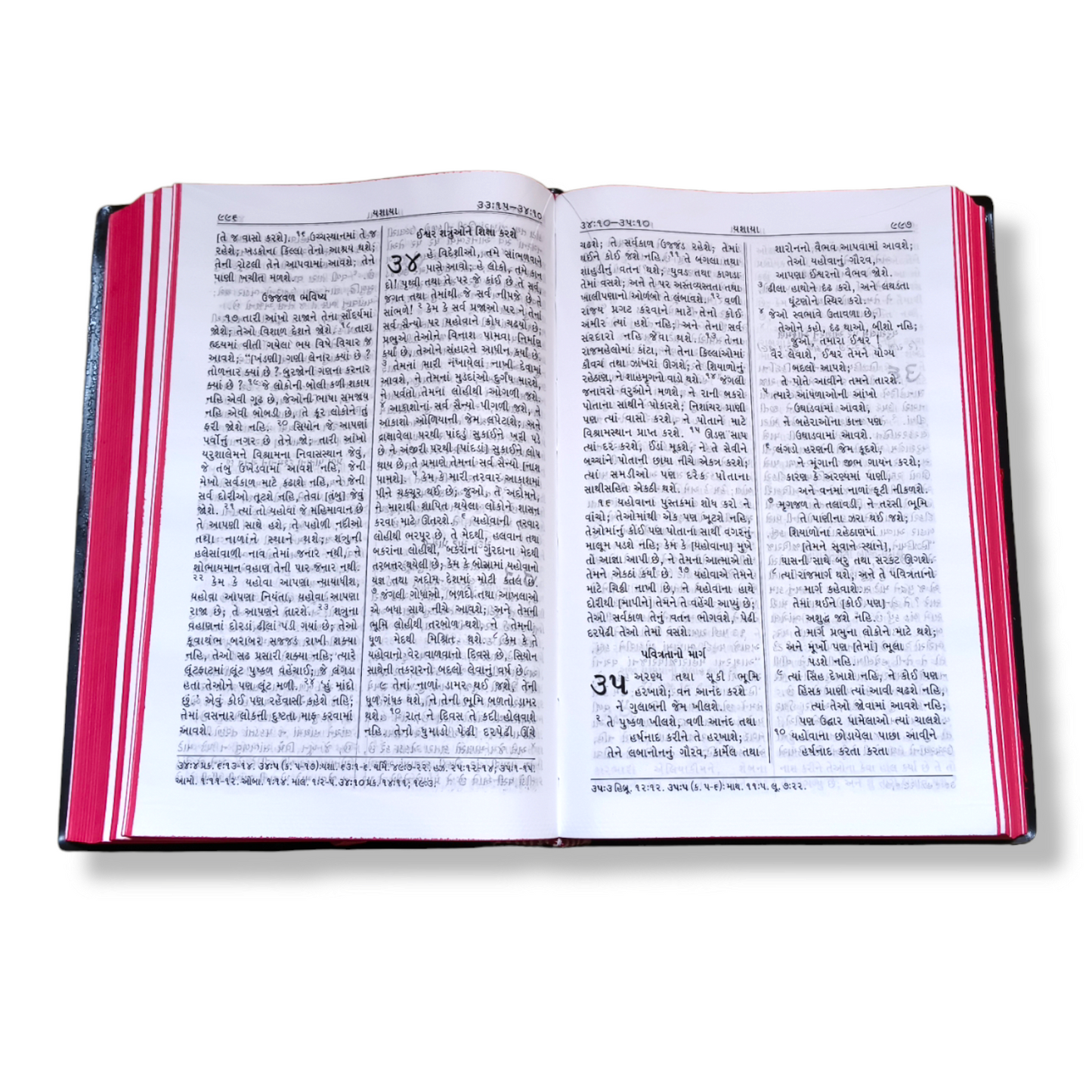 Holy Bible in Gujarati