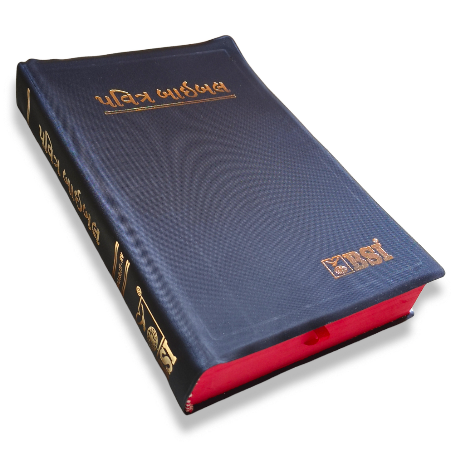 Holy Bible in Gujarati