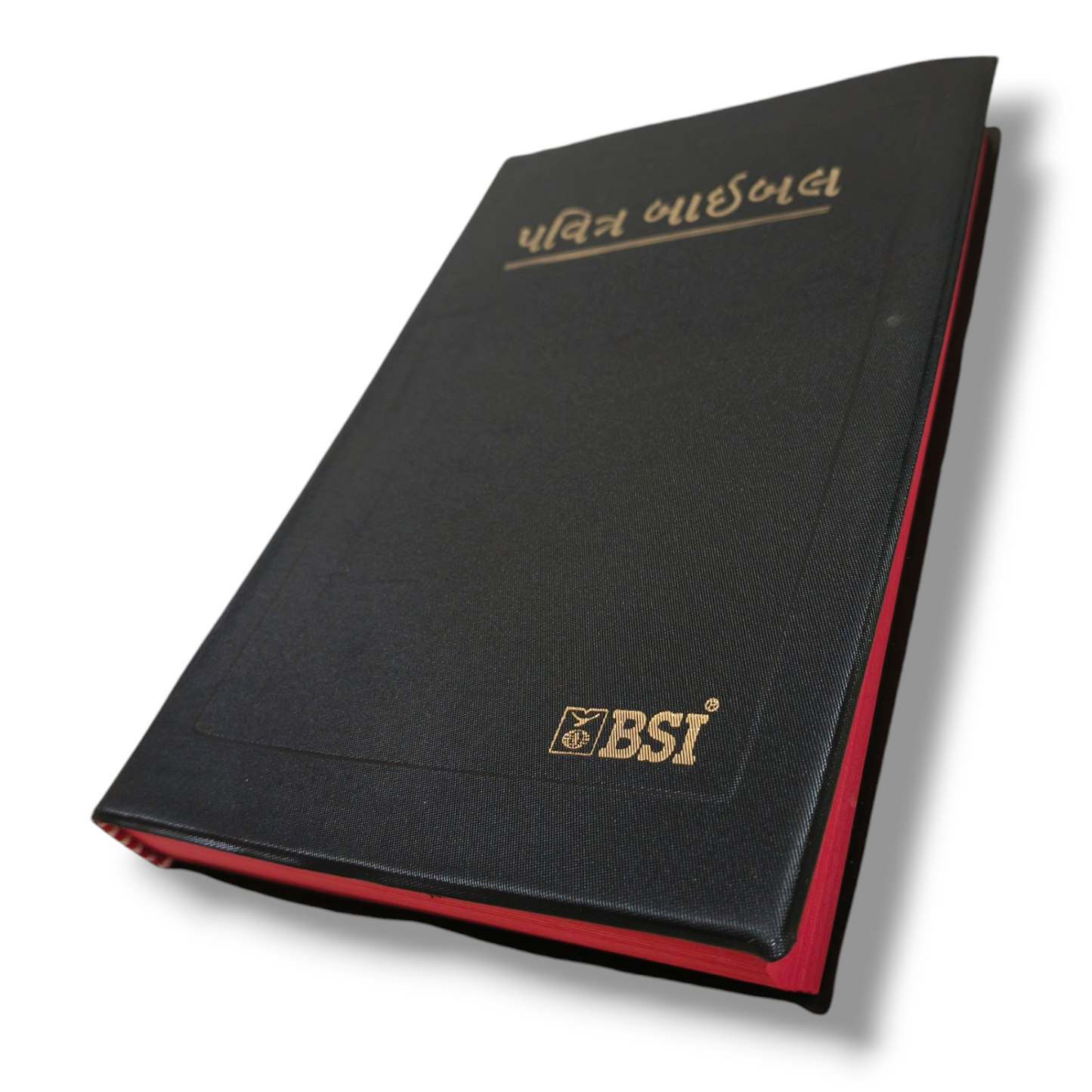 Gujrati Bible | The Holy Bible | Normal Size | Medium Size Bible | Red Edge Bible | New Edition