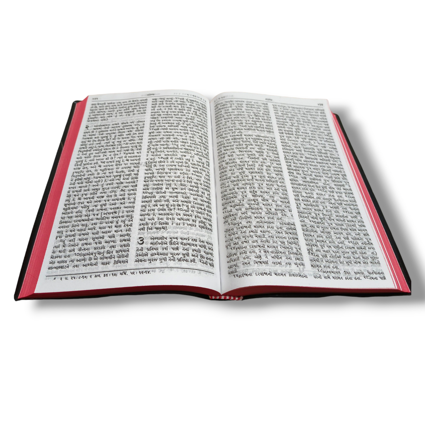 Gujrati Bible | The Holy Bible | Normal Size | Medium Size Bible | Red Edge Bible | New Edition